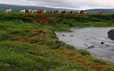 Iceland-Northern Tours-Northern Elves Trail